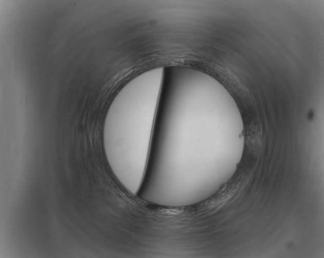 X0000098030139200803280740