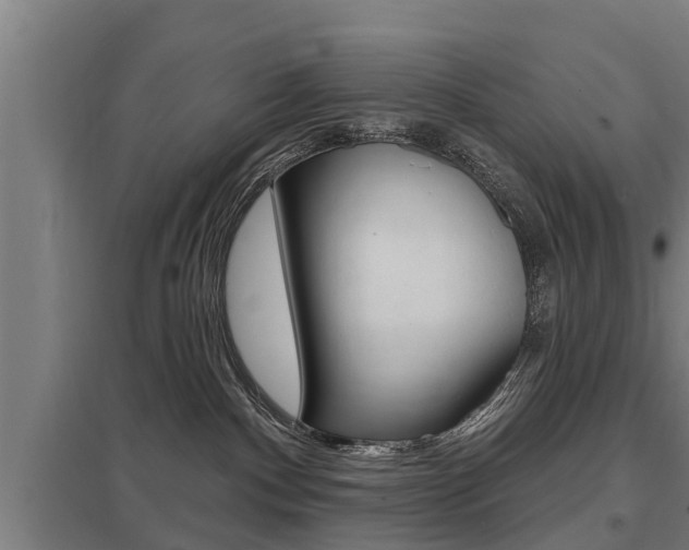 X0000098030140200803280740