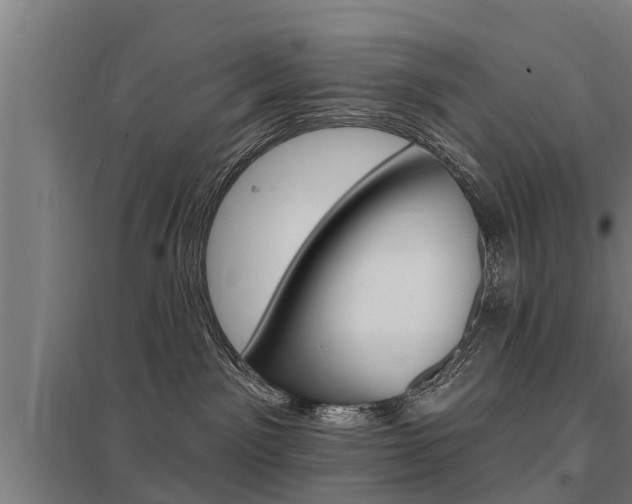 X0000098030141200803280740