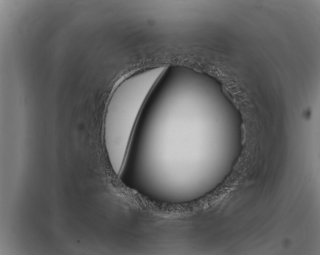 X0000098030144200803280740