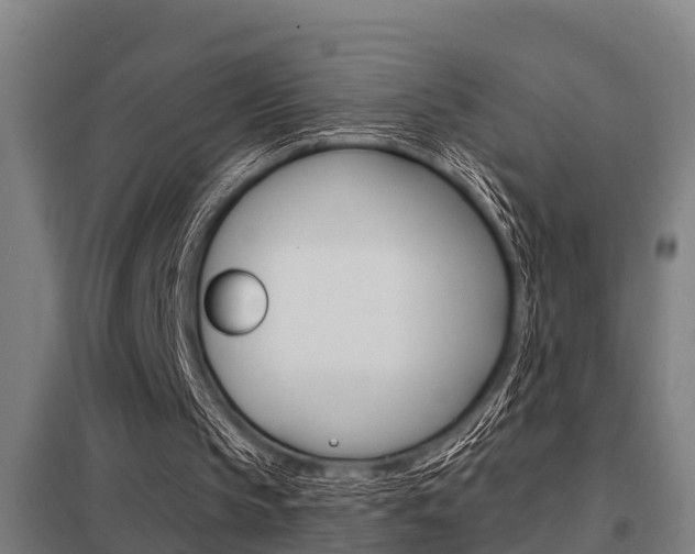 X0000098030145200803280739