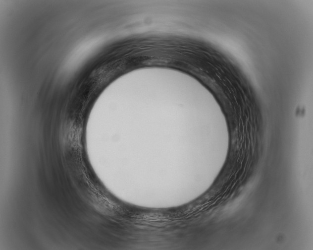 X0000098030146200803280739