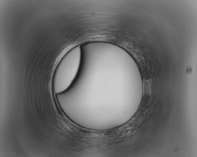 X0000098030147200803280739