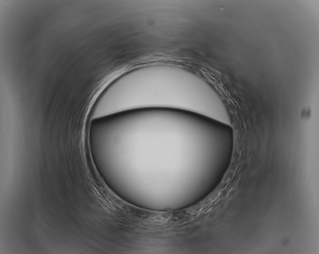 X0000098030148200803280739