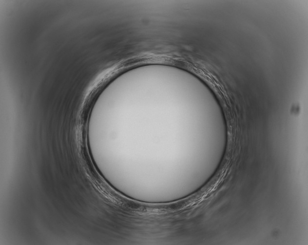X0000098030149200803280739