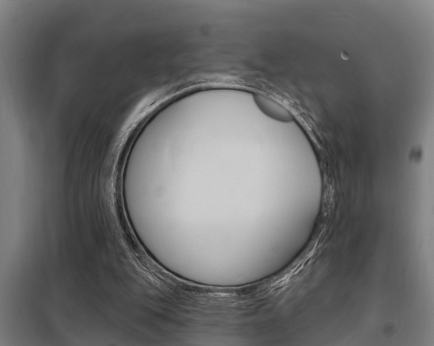X0000098030151200803280739