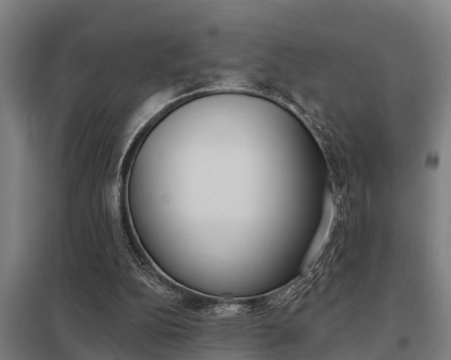 X0000098030152200803280739