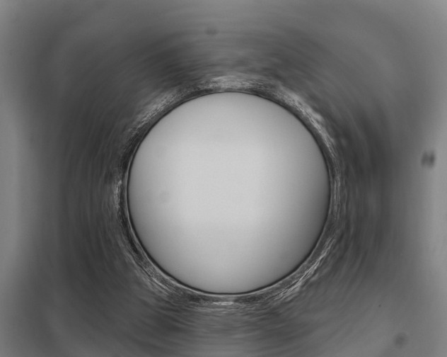 X0000098030153200803280739