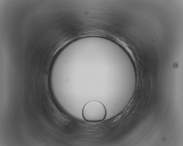 X0000098030154200803280739