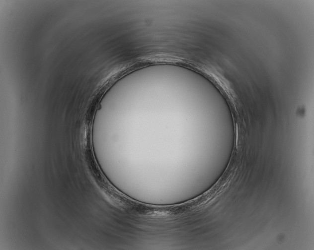 X0000098030157200803280739