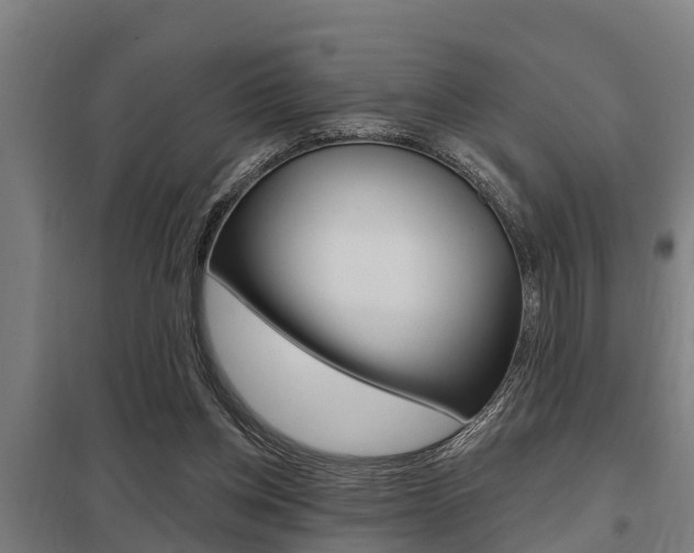 X0000098030158200803280739