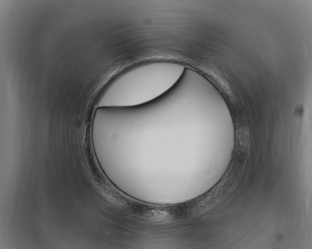 X0000098030159200803280739