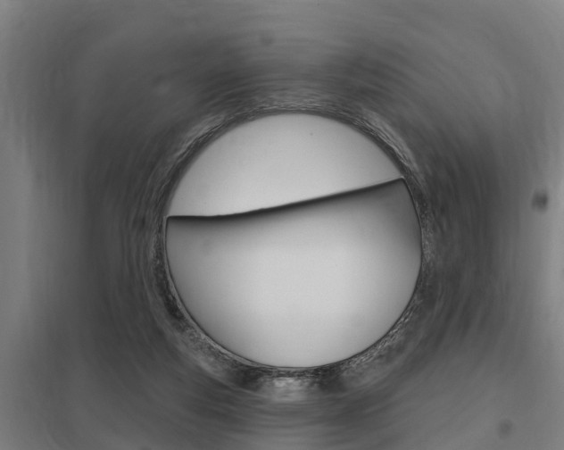 X0000098030163200803280739