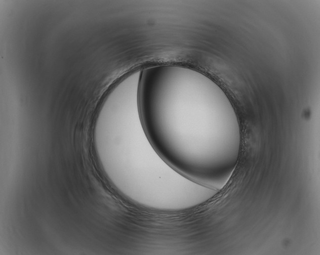 X0000098030164200803280739