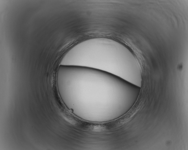 X0000098030165200803280739