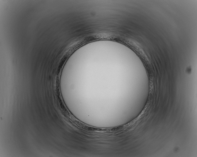 X0000098030167200803280739