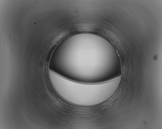 X0000098030168200803280739