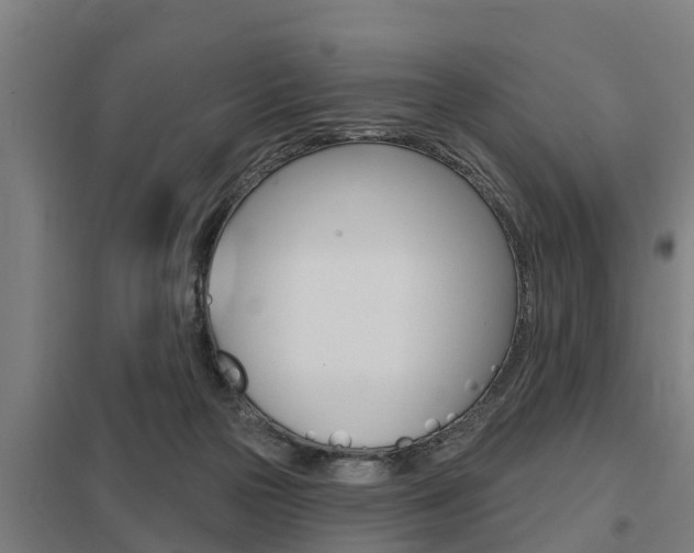 X0000098030169200803280739