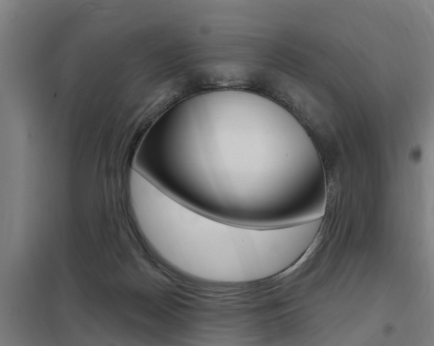 X0000098030170200803280739