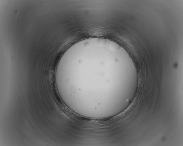 X0000098030171200803280739