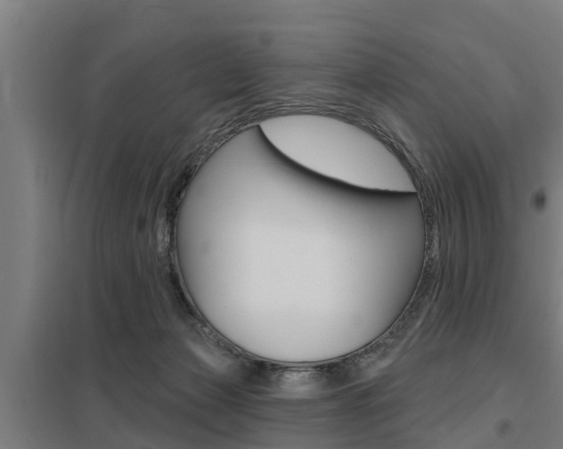X0000098030173200803280739