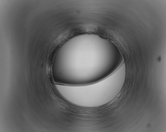X0000098030176200803280739