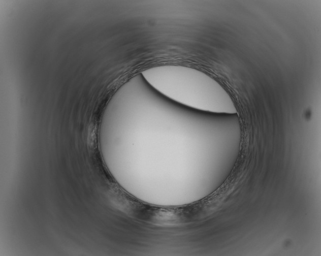 X0000098030177200803280739