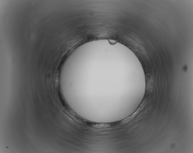 X0000098030179200803280739