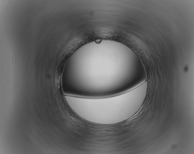 X0000098030180200803280739