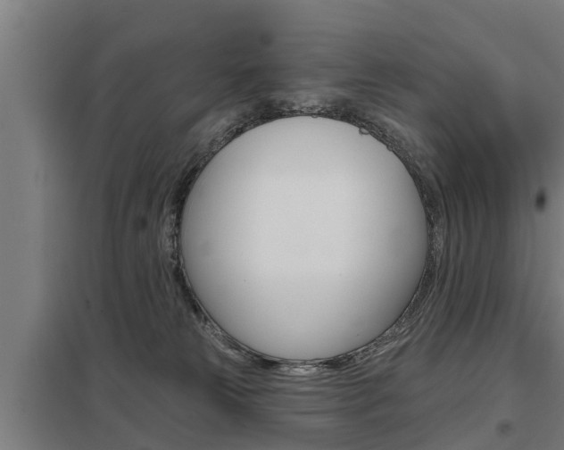 X0000098030181200803280739