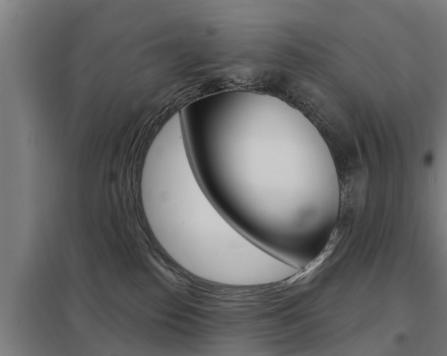 X0000098030186200803280739