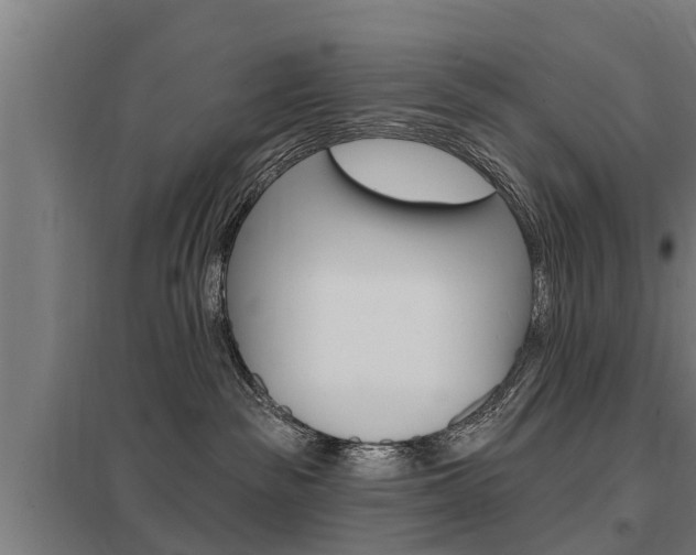 X0000098030189200803280739