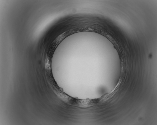 X0000098030191200803280739