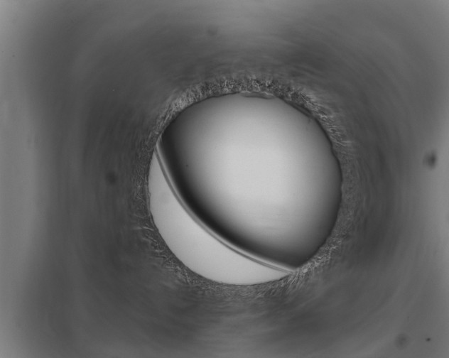 X0000098030192200803280740