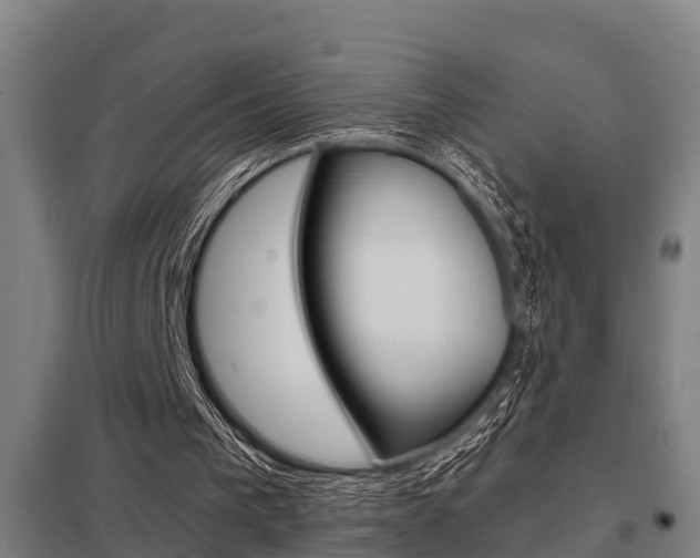 X0000098030193200803280739