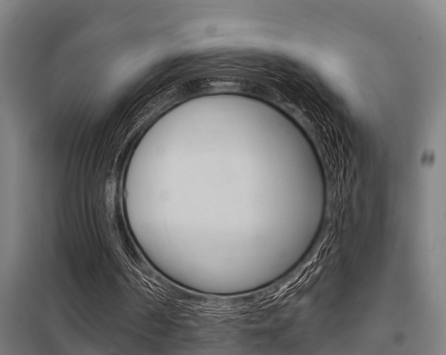X0000098030194200803280739