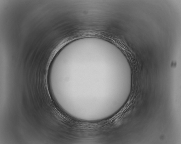 X0000098030195200803280739
