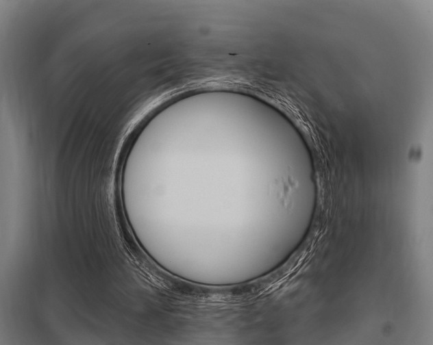X0000098030196200803280739