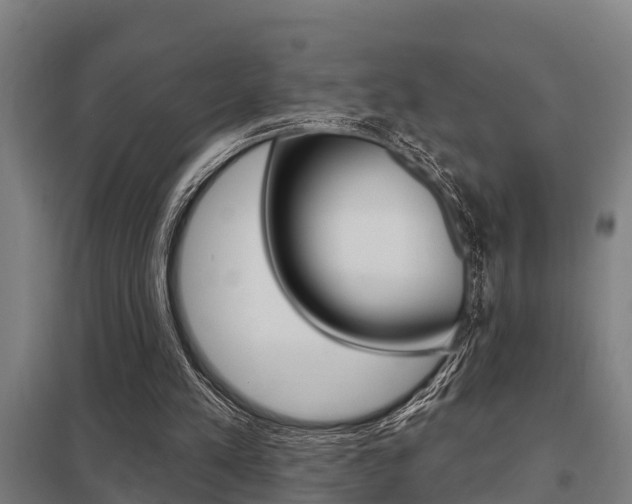 X0000098030197200803280739