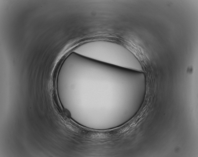 X0000098030198200803280739