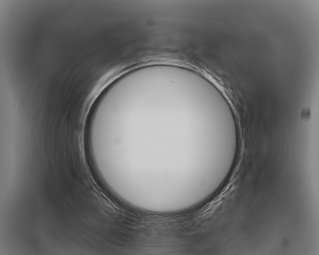 X0000098030199200803280739