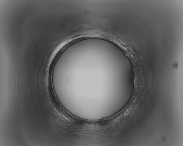 X0000098030200200803280739