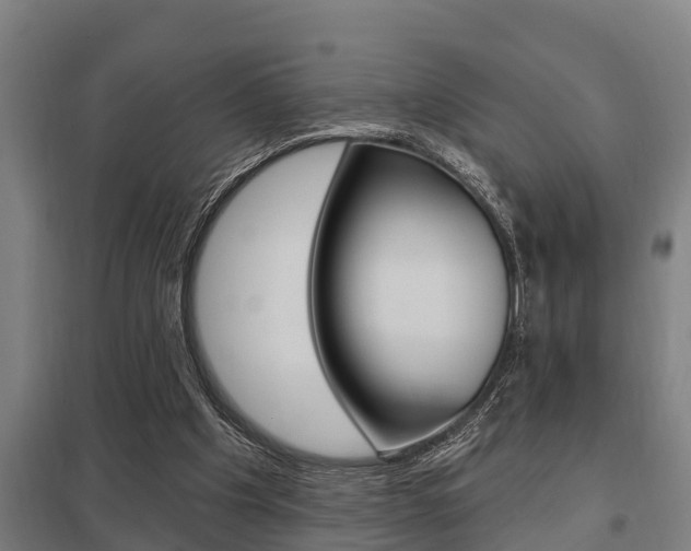 X0000098030201200803280739