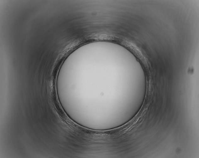 X0000098030202200803280739