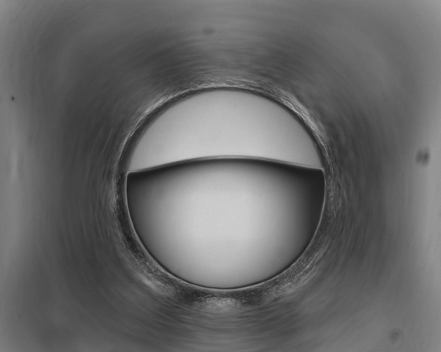 X0000098030203200803280739