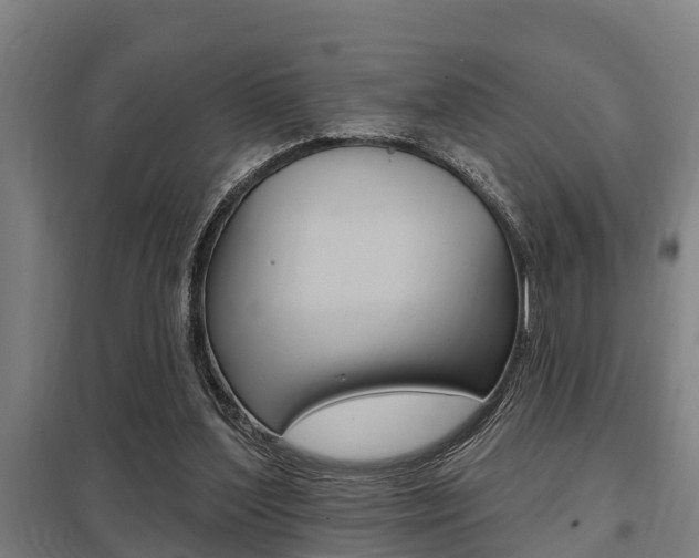X0000098030204200803280739