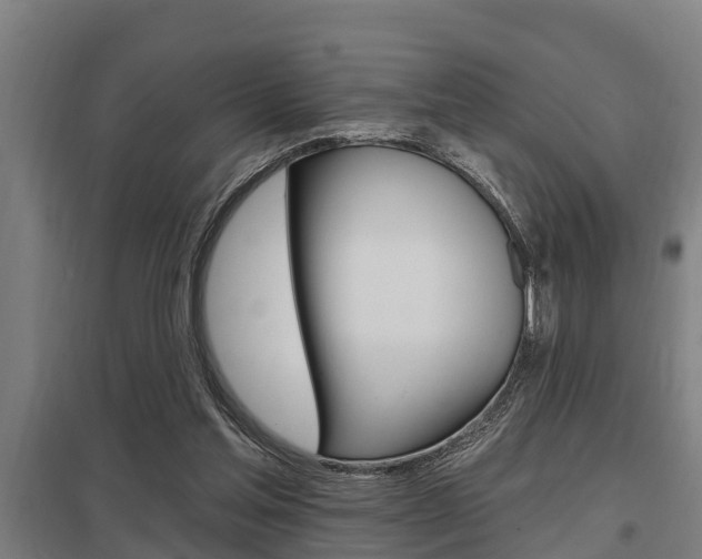 X0000098030205200803280739