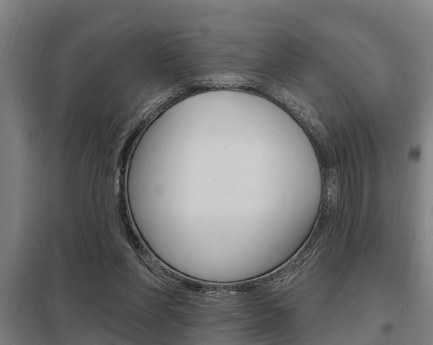 X0000098030206200803280739