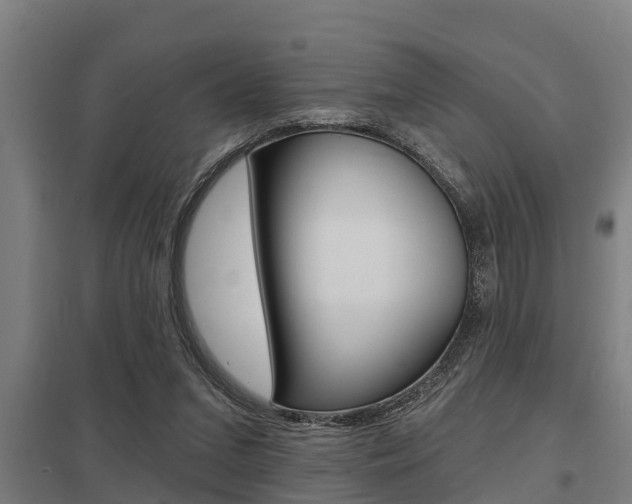 X0000098030207200803280739