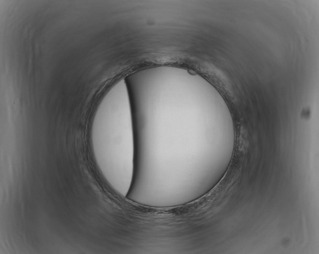 X0000098030210200803280739